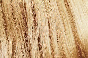 Image showing Blonde hair