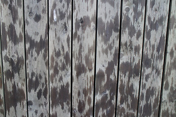 Image showing spotted wooden fence