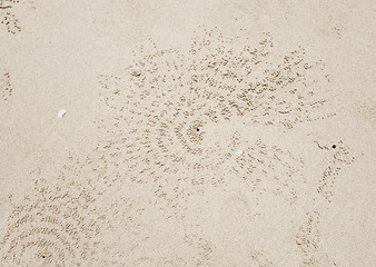 Image showing crab hole background texture