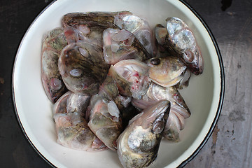 Image showing bowl with fish head 