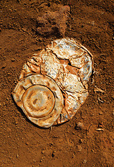 Image showing Old crushed rusty tin can