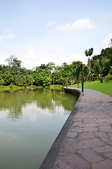 Image showing Lake in Singapore Botanic Garden