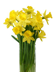 Image showing Daffodils in a vase - isolated