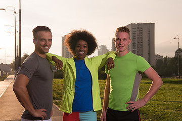 Image showing portrait multiethnic group of people on the jogging