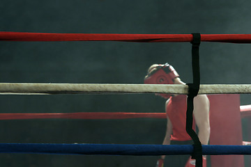 Image showing Defeated boxer