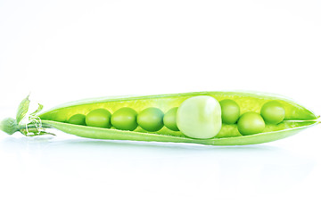 Image showing Opened pod full of peas