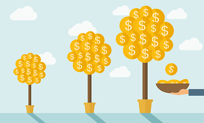 Image showing Three money trees