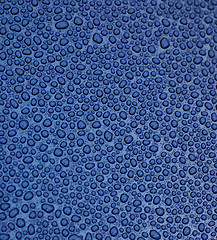 Image showing Droplets