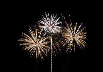 Image showing Fireworks celebration