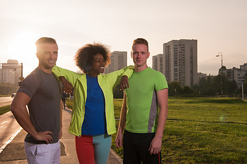 Image showing portrait multiethnic group of people on the jogging