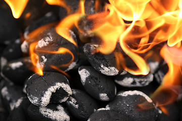 Image showing Charcoals