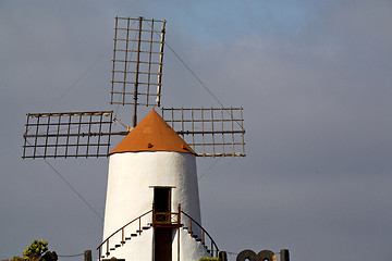 Image showing cactus windmills in  isle of lanzarote africa  