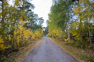 Image showing Country road in green and yellow colors