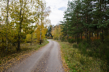 Image showing Winding gravel road in golden colors