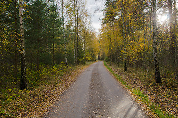 Image showing Colorful gravel road by fall