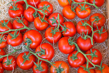 Image showing Tomatoes