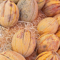 Image showing Melons