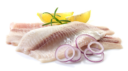 Image showing fresh raw fish fillet