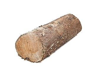 Image showing Log wood pile