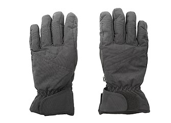 Image showing Gloves