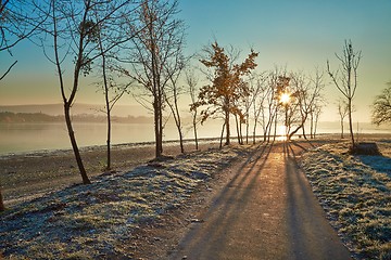 Image showing Winter walkwy with frost