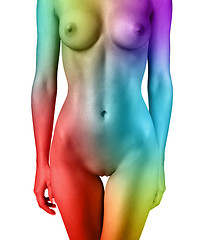 Image showing multi-colored body