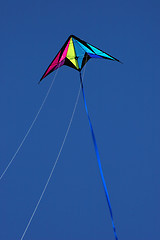 Image showing Kite flying high