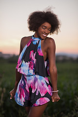 Image showing portrait of a young African-American woman in a summer dress