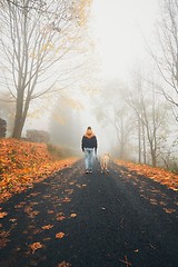 Image showing Man with dog in autumn nature