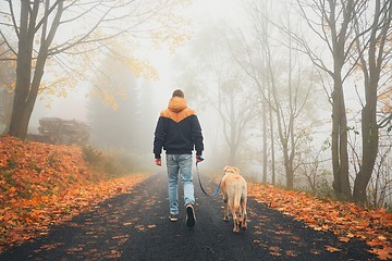 Image showing Man with dog in autumn nature