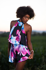 Image showing portrait of a young African-American woman in a summer dress