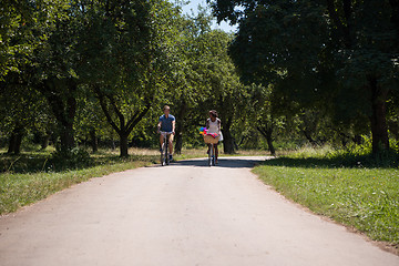 Image showing Young multiethnic couple having a bike ride in nature