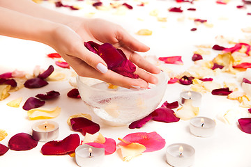 Image showing Gentle female hands holding rose petals