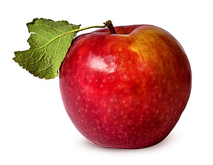 Image showing In front red ripe apple with green leaf