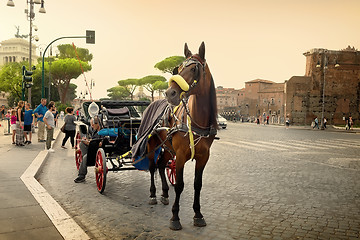 Image showing Horse on roman street