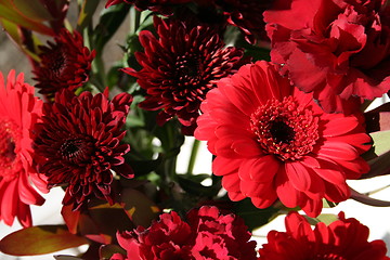 Image showing Bouquet of red flowers