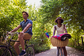 Image showing Young multiethnic couple having a bike ride in nature