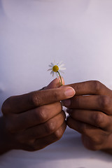 Image showing portrait of African American girl with a flower in her hand