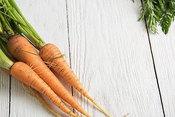 Image showing Freshly grown carrots