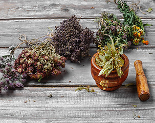 Image showing Harvest of medicinal herbs and plants
