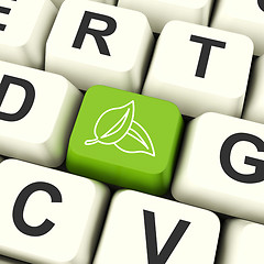 Image showing Leaves Icon Computer Key For Recycling And Eco Friendly