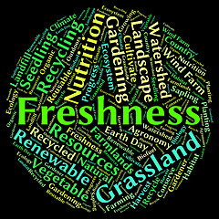 Image showing Freshness Word Means Freshen Raw And New