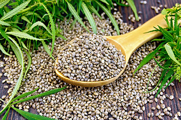 Image showing Grain hemp in spoon with leaf on dark board