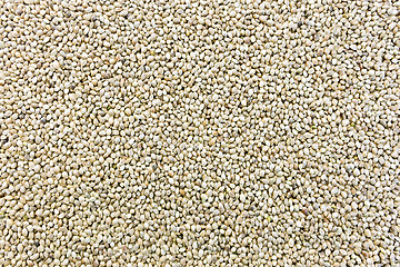 Image showing Hemp seeds texture