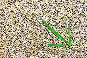 Image showing Hemp seeds with green leaf