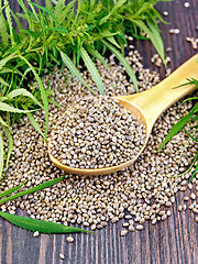 Image showing Grain hemp in spoon with leaf on board