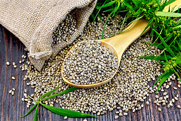 Image showing Grain hemp in spoon with bag on board