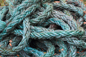 Image showing old rope texture