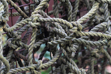 Image showing old rope texture