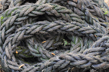 Image showing old rope texture